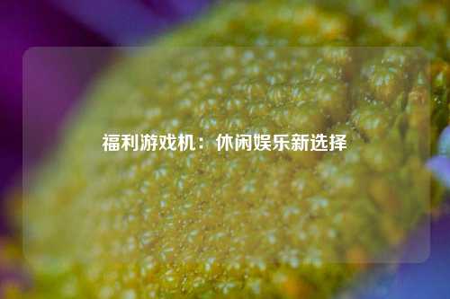 福利游戏机：休闲娱乐新选择