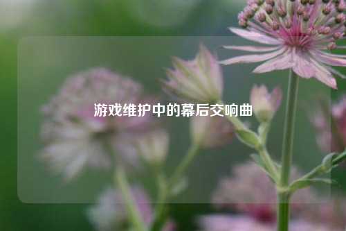 游戏维护中的幕后交响曲