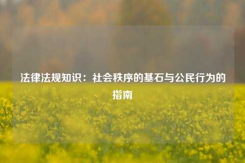 法律法规知识：社会秩序的基石与公民行为的指南