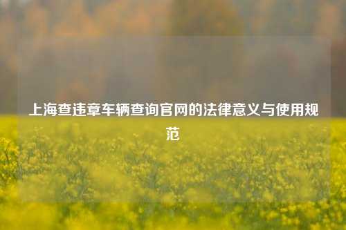 上海查违章车辆查询官网的法律意义与使用规范