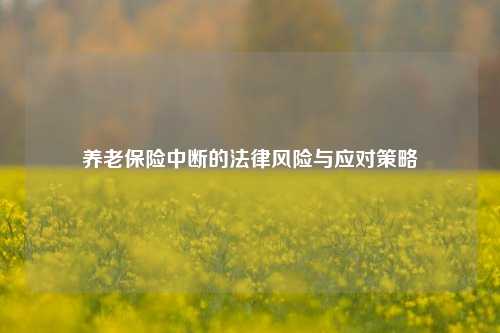 养老保险中断的法律风险与应对策略