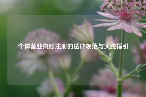 个体营业执照注册的法律规范与实践指引