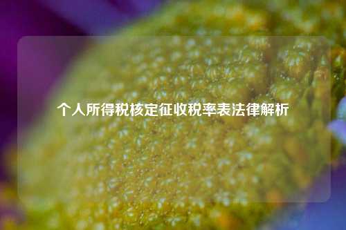 个人所得税核定征收税率表法律解析