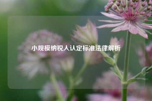 小规模纳税人认定标准法律解析