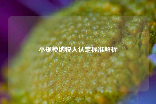 小规模纳税人认定标准解析
