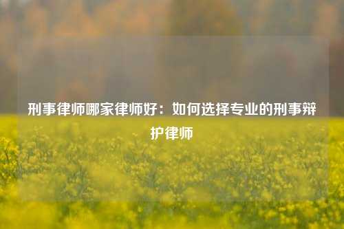 刑事律师哪家律师好：如何选择专业的刑事辩护律师