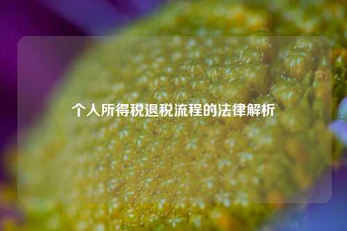 个人所得税退税流程的法律解析